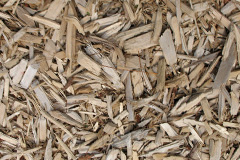 biomass boilers Penygraigwen